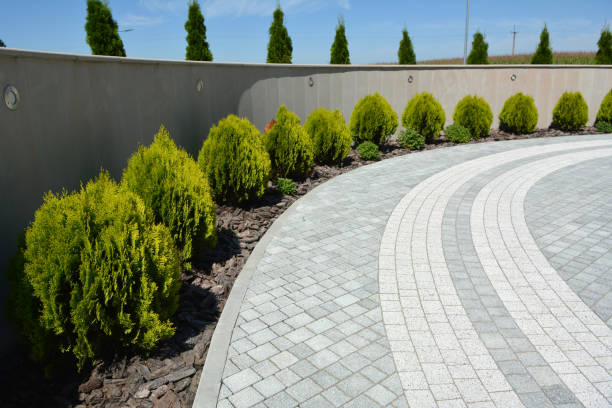 Best Driveway Pavers Contractor  in Fate, TX